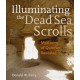 Illuminating the Dead Sea Scrolls