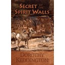 Secret of the Spirit Walls