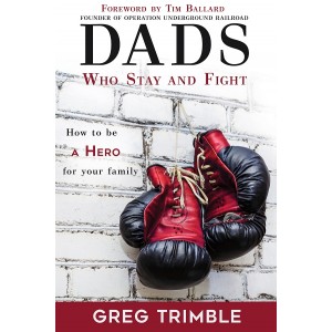 Dads Who Stay and Fight: How to be A Hero for your family