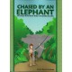 Chased by an Elephant